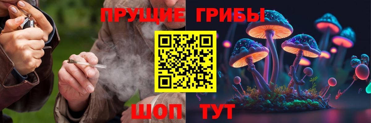 Великий Устюг  Галлюциногенные грибы Psilocybine cubensis  Вход с VPN 